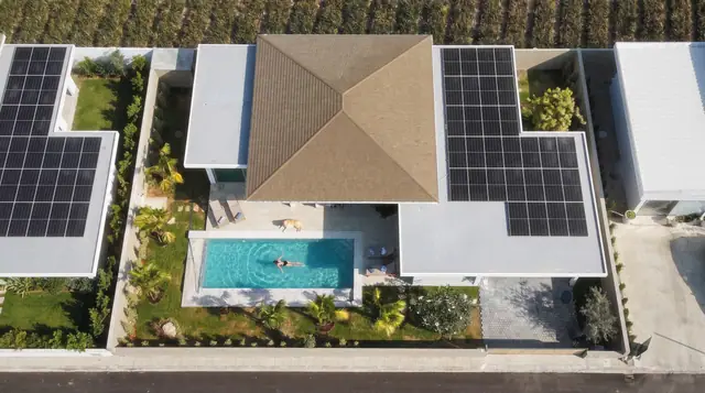 A Swim From Above